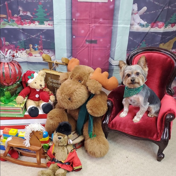 Meet your Posher, Lindsey - Picture 11 of 12